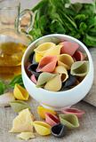 uncooked tricolor pasta in cup  with  olive oil