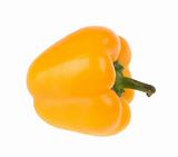 yellow sweet pepper