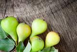 Freshly harvested pears