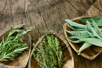 Fresh aromatic herbs 