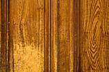 Stock macro photo-the texture of wood