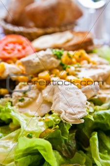 Fresh chicken salad with tomatoes