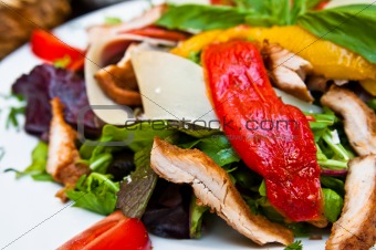 Fresh chicken salad with tomatoes