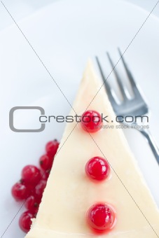 Cheese cake with cranberries