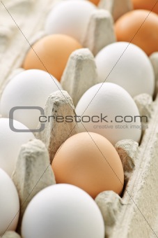 Eggs