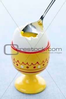 Soft boiled egg in cup