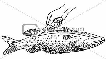 Cooking fish
