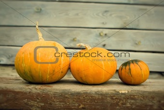 Pumpkins on a wooden background