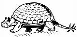Prehistorical turtle