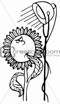 Sunflower under lamp