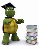 Tortoise teacher with a stack of books