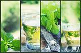 Mint tea collage