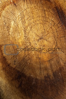 Wood abstract