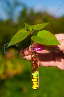 test tube with tablets, berries and plant