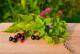 red and black currants on a wooden board