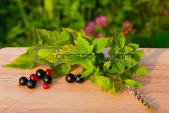 red and black currants on a wooden board