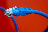 close up of the ethernet cable