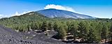 The volcano Etna landscape