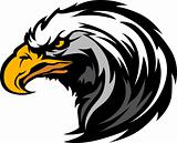 Graphic Head of an Eagle Mascot Vector Illustration
