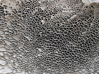 Sandstone Honeycomb