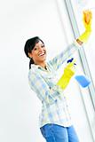 Smiling woman cleaning windows