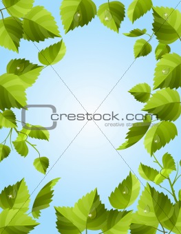Frame with fresh green leaves