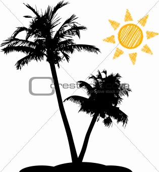 Palm_Tree