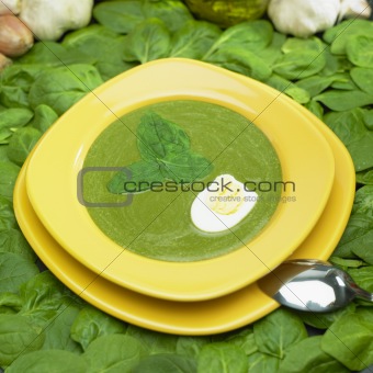 cream spinach soup