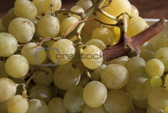 Italian grapes