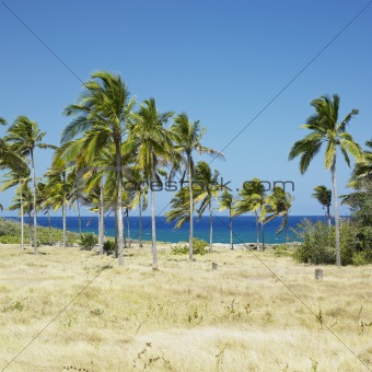 Bahia de Bariay, Holguin Province, Cuba