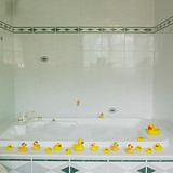 bath tub with rubber ducks