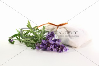Lavender flowers with bag