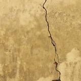 Cracked Wall
