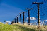 remains of iron curtain, Cizov, Czech Republic