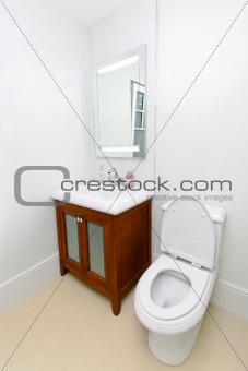 Toilet classic