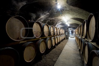 Chateau de Cary Potet (wine cellar), Buxy, Burgundy, France