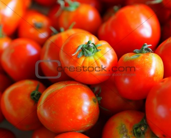 tomatoes arranged at market