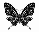 Abstract Butterfly illustration