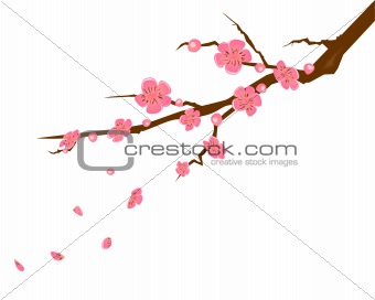 Peach Flower illustration
