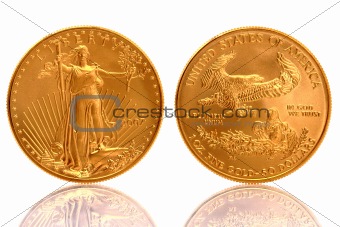 American Gold Eagle 1 oz Fine Gold Coin