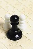 Black and white chess pawns