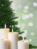 Candle light and Christmas tree