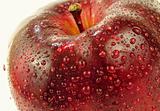 red apple macro