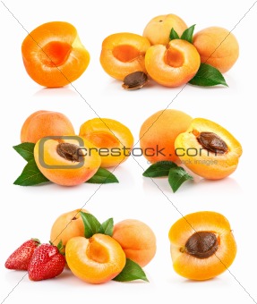 set apricot fruits with green leaf