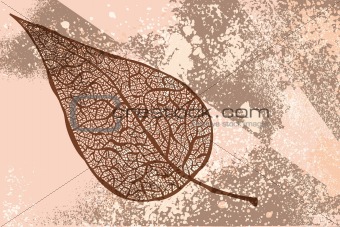 vector vintage autumn leaf on grunge background