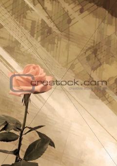 Vintage background with rose