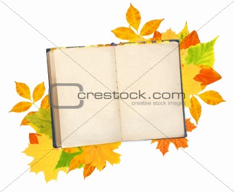 Old book and autumn leaves