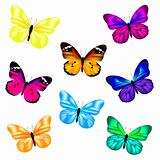Butterfly Icon Set