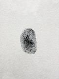 A fingerprint