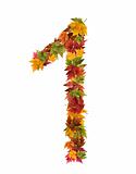 The number 1 made from autumn maple tree leaves